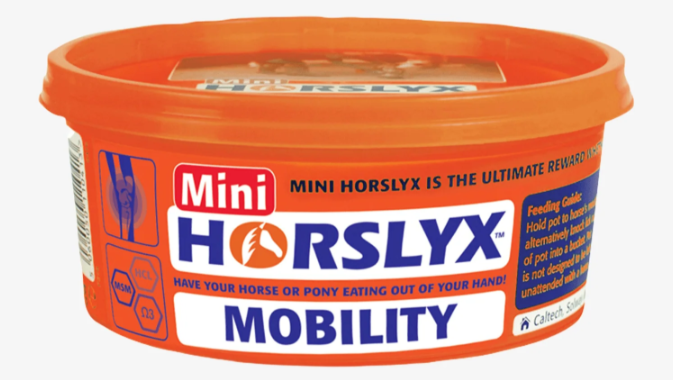 Mini Horslyx Slicksten – smidig belöning och effektiv distraktion.
