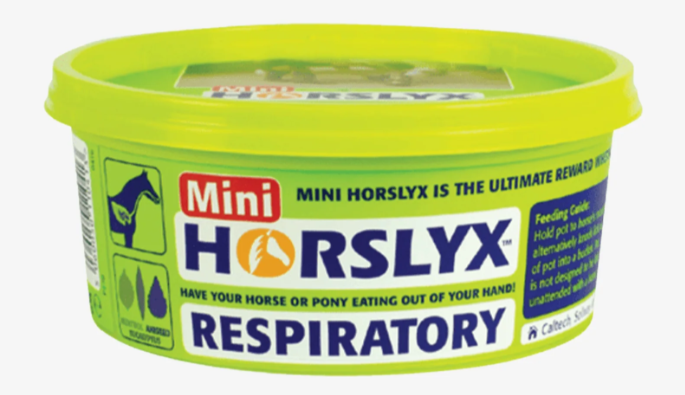 Mini Horslyx Slicksten – smidig belöning och effektiv distraktion.